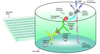 時(shí)間分辨熒光微孔板超敏檢測(cè)技術(shù)